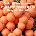 could fishmeal baits like these soon be a thing of the past? could fishmeal baits like these soon be a thing of the past?