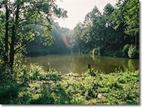 Exeter & District AA - Feneck Ponds Exeter & District AA - Feneck Ponds